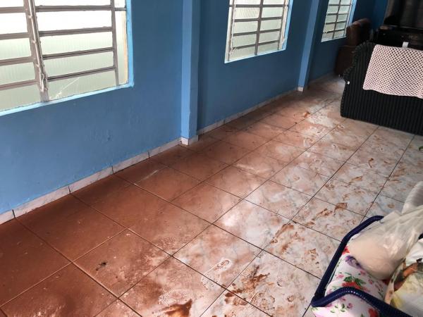 Casas ficam alagadas em virtude da chuva no Centro de Tenente Portela (Foto: Recebida Via Waths)