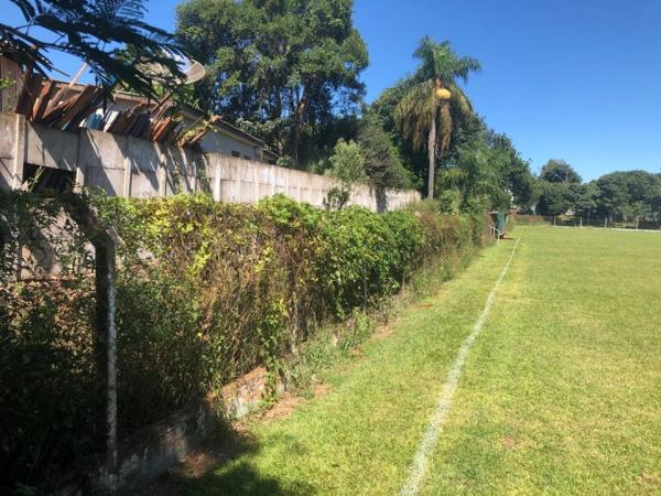 Em alguns pontos do estádio municipal, a vegetação já encobre parte do alambrado (Foto: Diones Roberto Becker)