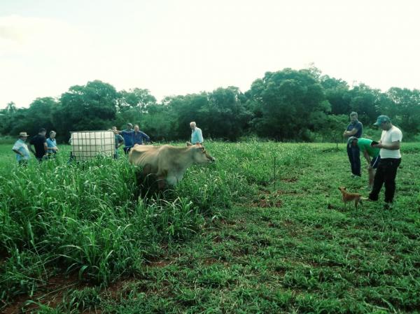 Comitiva de Ibirapuitã visitou três propriedades rurais ligadas à atividade leiteira e amparadas por programas municipais (Foto: Divulgação/ASCOM Vista Gaúcha)