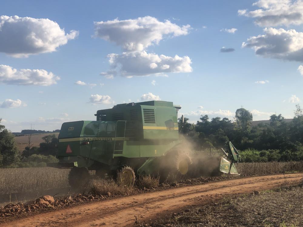 Caso a previsão se confirme, o Brasil encerrará o ano com uma expansão de 3,3% ou 8,3 milhões de toneladas a mais na safra (Foto: Diones Roberto Becker)