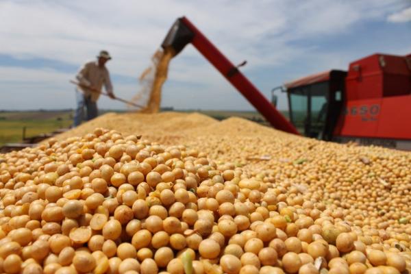 Dados iniciais haviam sido divulgados no mês de agosto de 2019 - Foto: Arquivo / Agência Brasil