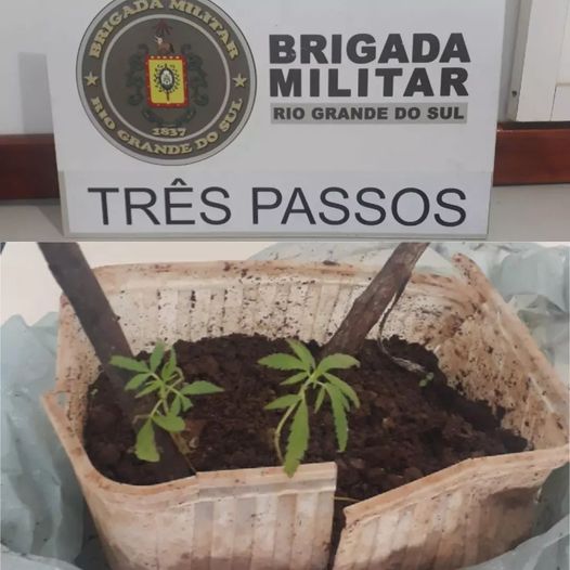 Foto: BM/ Divulgação