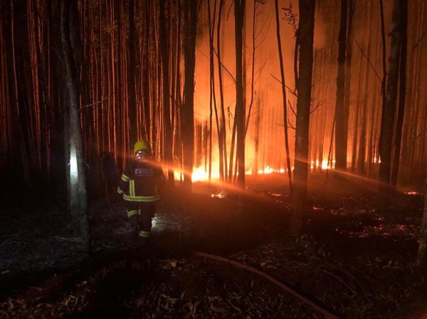 Bombeiros de Três Passos trabalharam por cerca de duas horas para conseguir controlar as chamas na vegetação (Foto: Diones Roberto Becker)