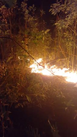 Imagem do sinistro ocorrido hoje. (Foto: Reprodução/Luciano Berta/Via Whats)