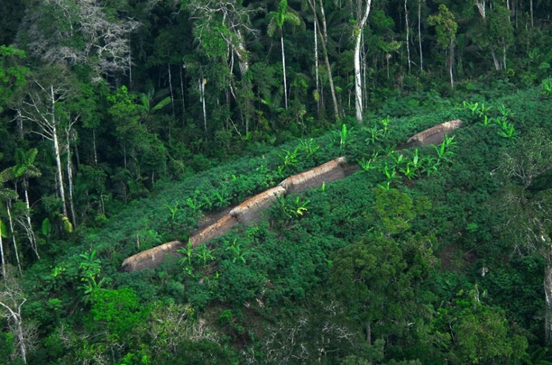 Segundo o CNJ, pelo menos 188 cadastros estão em terras indígenas, com área de mais de 37,5 mil hectares - Gleilson Miranda/Governo do Acre