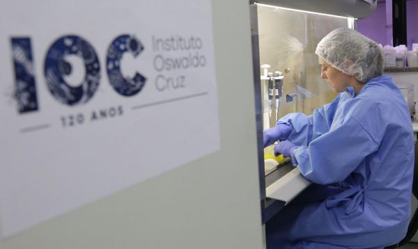 Novos produtos são voltados para o uso profissional e permitem a leitura dos resultados, em média, em 15 minutos (Foto: Josué Damaceno/Instituto Osvaldo Cruz)