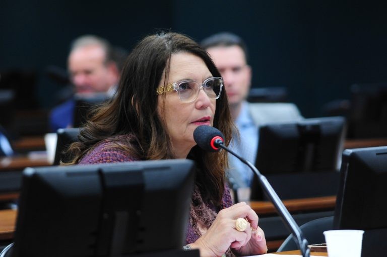 Bia Kicis: 