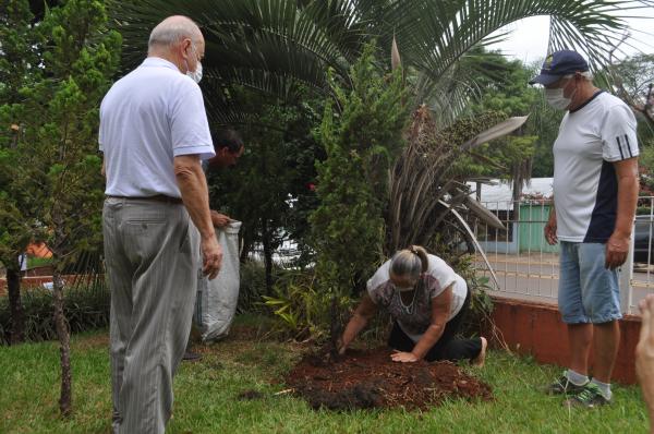 Mirna Braucks efetuando o plantio de uma muda de árvores - Foto: Sistema Província