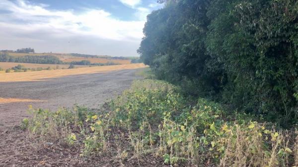Área agrícola cresceu 44,8% entre 2000 e 2018 (Foto: Diones Roberto Becker)
