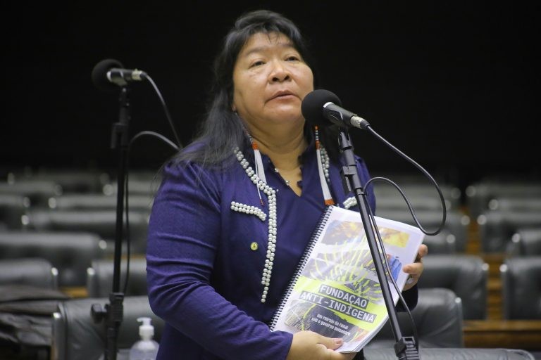 Joenia pediu soluções para fatos preocupantes e graves - (Foto: Paulo Sérgio/Câmara dos Deputados)