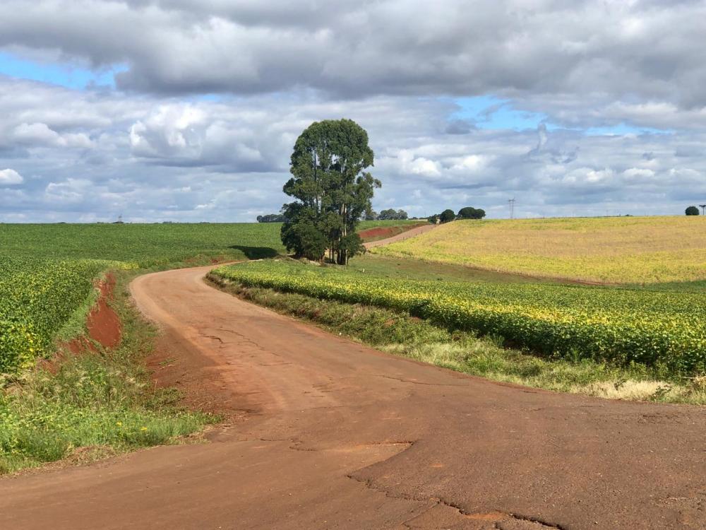 Projeto visa a pavimentação da via entre a BR 468 e a comunidade de Campo Santo (Foto: Diones Roberto Becker)