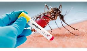 Durante o ano de 2020 já passam de 200 os casos investigados de dengue (Foto: Reprodução/Internet)