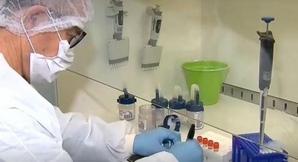 Número de casos confirmados e de mortes sobe diariamente (Foto: Reprodução/Record TV)