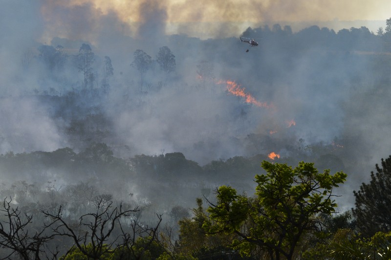 © 18.09.2014/Valter Campanato/Agência Brasil