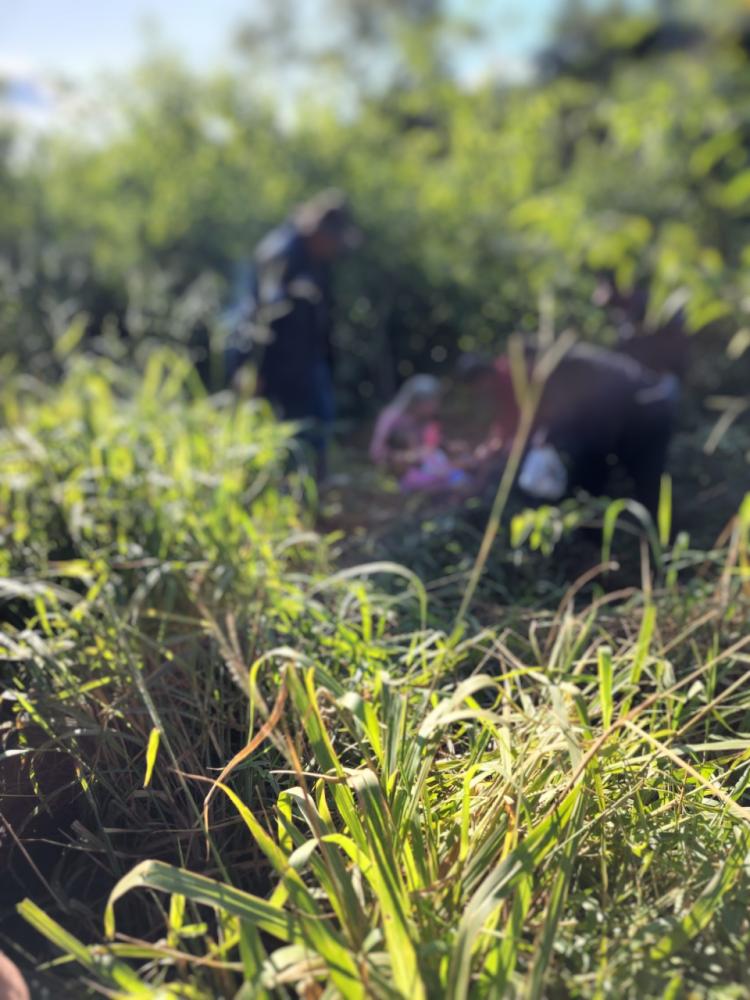 Mãe e filha foram socorridas por populares (Foto desfocada digitalmente por aparecer menor de idade)