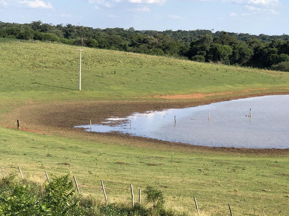 Entre abril e maio, o Rio Grande do Sul teve um recuo da seca de 100% para 88% do território (Foto: Diones Roberto Becker)
