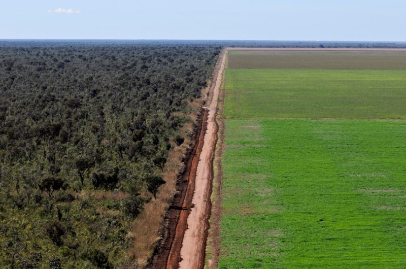 Um dos projetos polêmicos é o que revoga a Lei dos Agrotóxicos e muda regras de aprovação desses produtos - Adriano Gambarini/WWF-Brasil