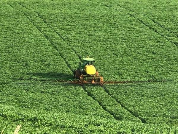 Todos os produtos autorizados são genéricos, ou seja, utilizam ingredientes ativos já registrados anteriormente no país (Foto: Diones Roberto Becker)
