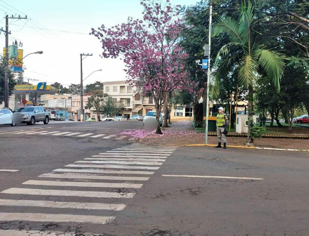 Prisão foi realizada pela Brigada Militar em Tenente Portela (Foto: Divulgação)