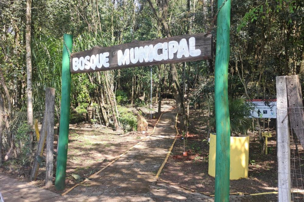 Arvores representando as vítimas estão sendo plantadas no Bosque Municipal (Foto: Divulgação)