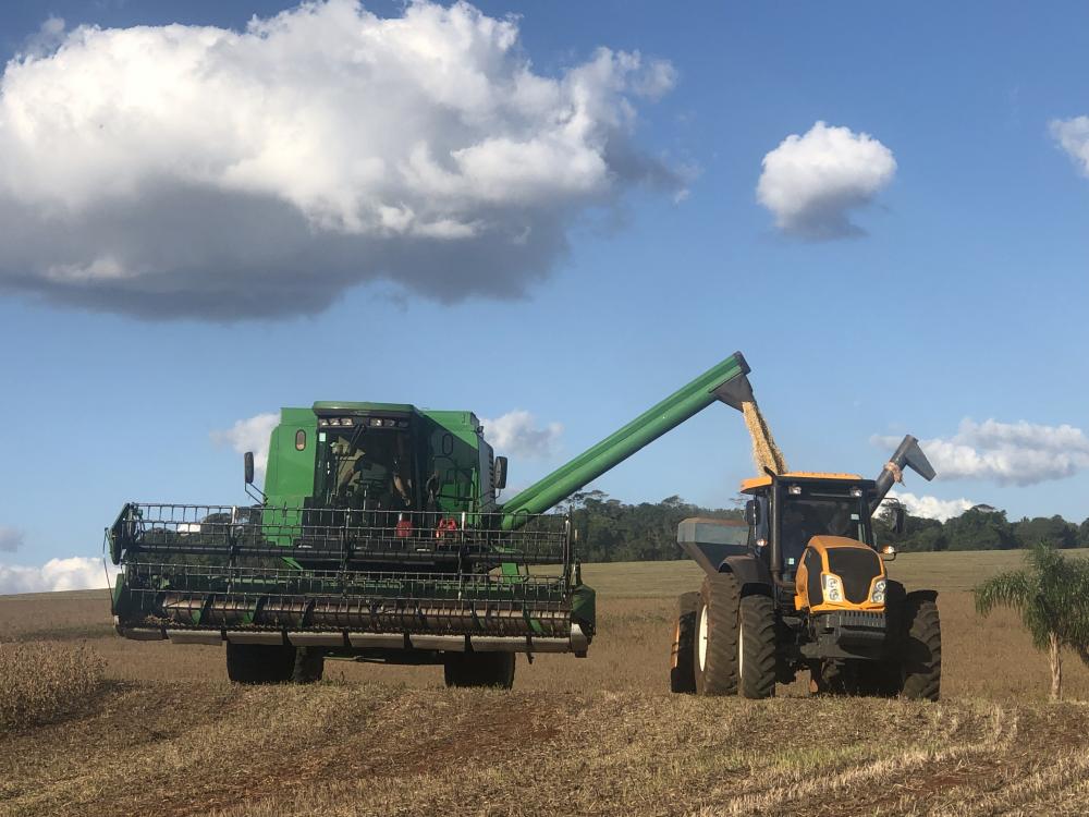 Resultado é impulsionado pelo bom desempenho dos mercados de milho, soja, arroz, feijão e algodão (Foto: Diones Roberto Becker)