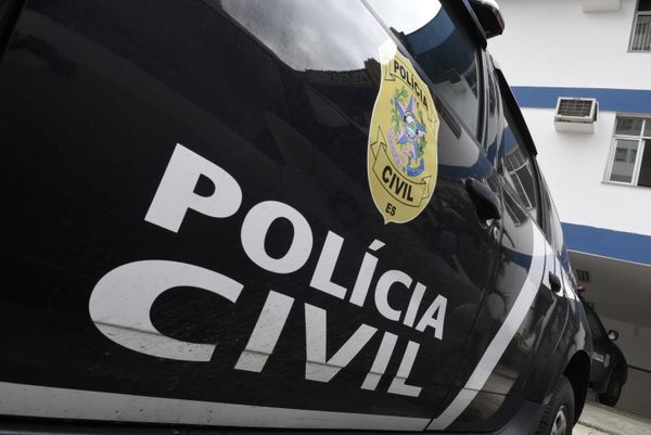 Operação envolveu agentes da 22ª Delegacia de Polícia Regional do Interior (Foto: Divulgação)