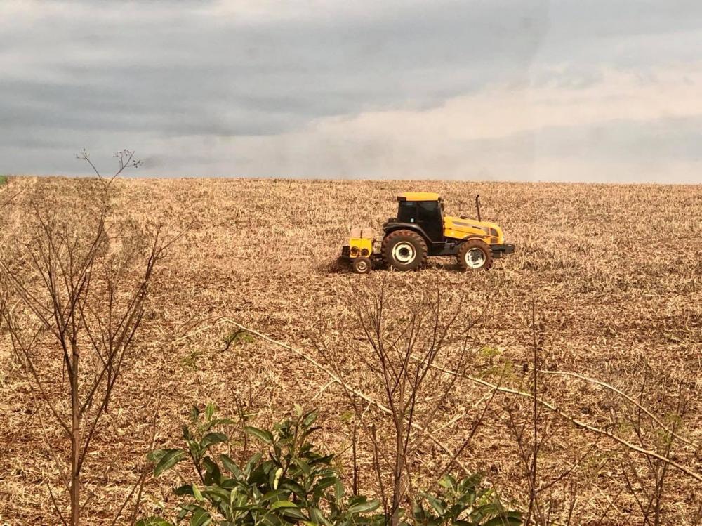 Conforme o presidente da CONAB, houve aumento de 3% na área plantada (Foto: Diones Roberto Becker)