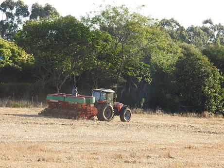 No momento, a maioria dos produtores gaúchos trabalha na semeadura das lavouras de soja (Foto: Diones Roberto Becker)