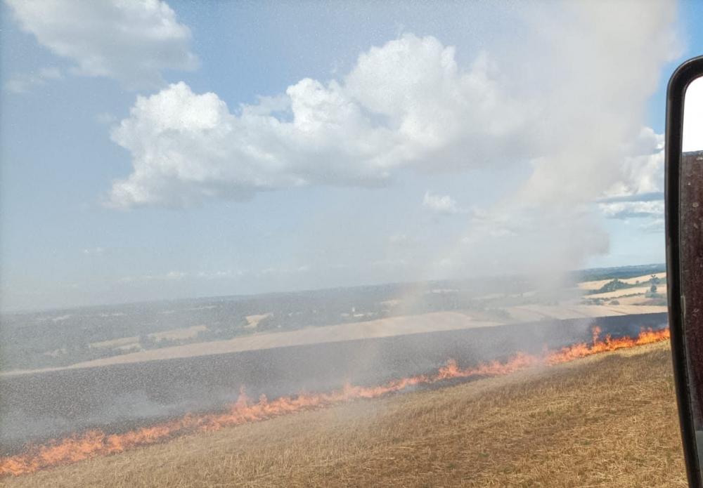 Com a volta do calor e tempo seco, incêndios voltaram a ser registrados (Foto: Divulgação)