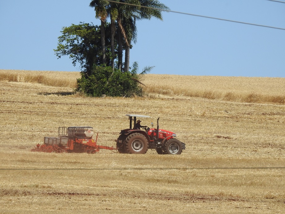 Emater-Ascar estima que o RS vai cultivar 6,56 milhões de hectares de soja no atual ciclo (Foto: Diones Roberto Becker)