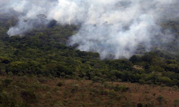 Segundo dados oficiais, a medida, que vigorou durante 60 dias, entre agosto e setembro, reduziu as queimadas em 16%. - Foto: Valter Campanato/Agência Brasil