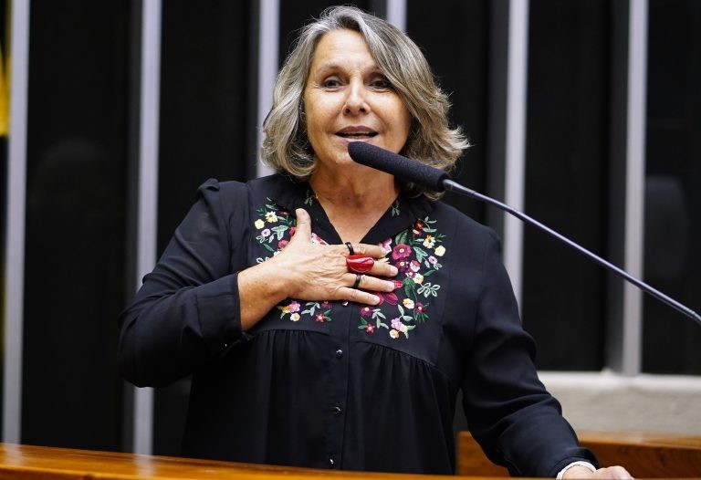 Erika Kokay, relatora do projeto de lei - (Foto: Pablo Valadares/Câmara dos Deputados)