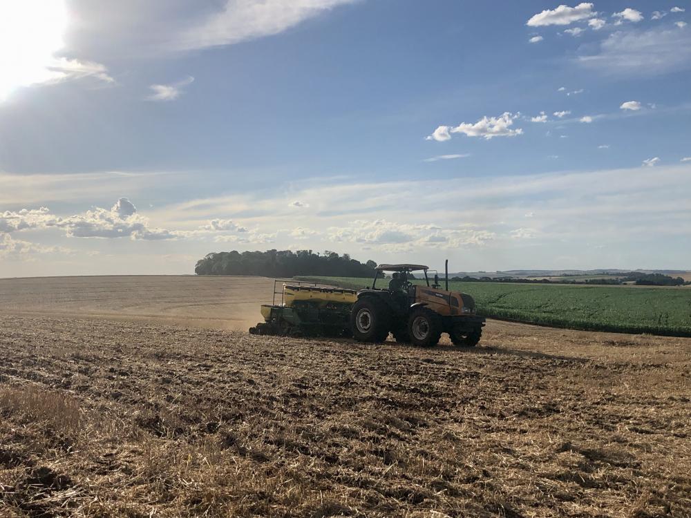 Com área total de plantio estimada em 77 milhões de hectares, a agricultura brasileira mantém a tendência de crescimento (Foto: Diones Roberto Becker)