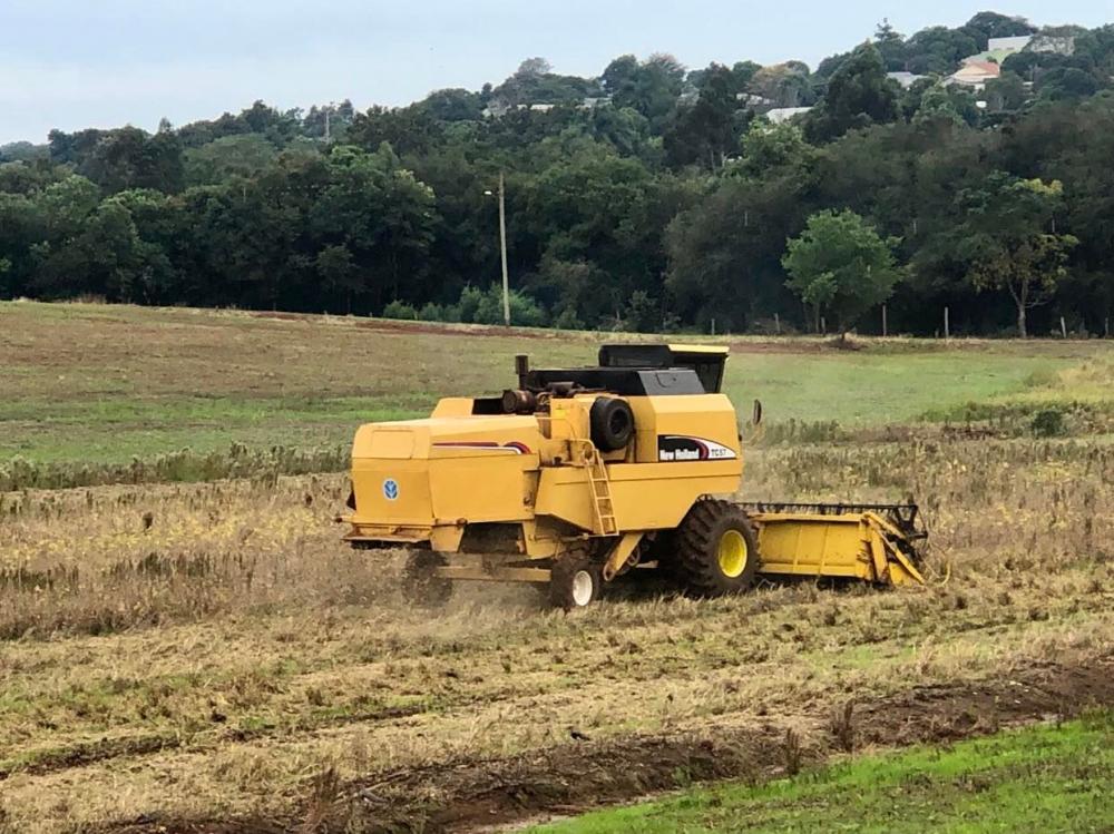 Deve haver uma supersafra de soja no próximo ano, com 146,4 milhões de toneladas (Foto: Diones Roberto Becker)