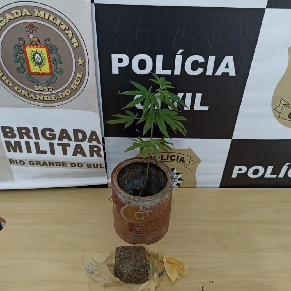 Durante abordagem, os agentes policiais apreenderam cerca de 200 gramas de maconha (Foto: Divulgação | BM)
