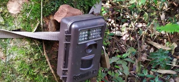 Equipamento é utilizado, principalmente, para o monitoramento de várias espécies ameaçadas de extinção (Foto: Reprodução/Facebook Parque do Turvo)