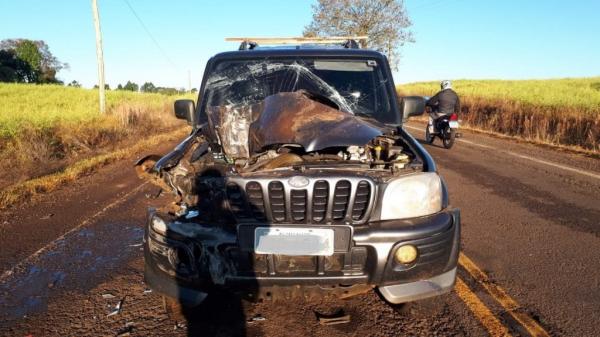 Apesar dos estragos materiais, ambos os condutores não sofreram ferimentos - Foto: TP News