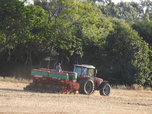 Mesmo sendo irregulares, as chuvas ocorridas no período entre 19 e 25 de dezembro permitiram o avanço da semeadura (Foto: Diones Roberto Becker)