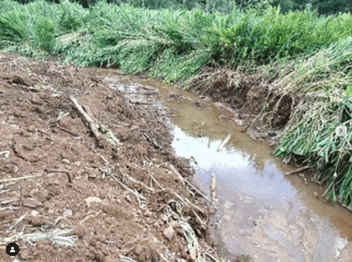 Vala de cerca de 250 metros foi descoberta em área de preservação permanente (Foto: Divulgação)