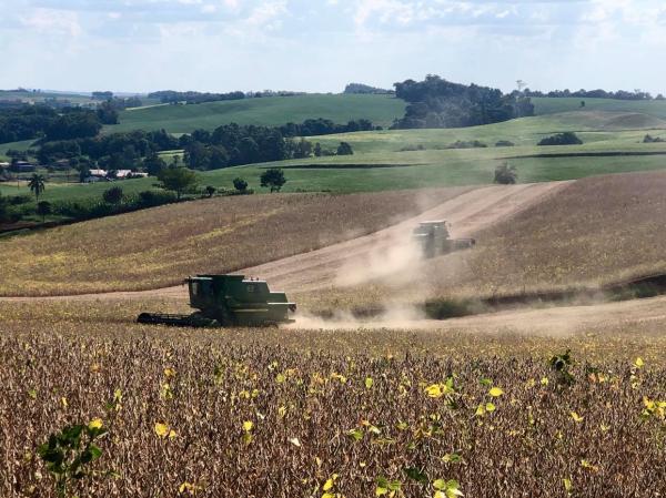 Conforme levantamento da CONAB, até o início de agosto, cerca de 40% da safra de soja 2020/2021 já havia sido vendida (Foto: Diones Roberto Becker)