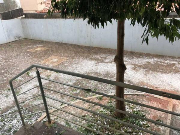 Moradores ficaram impressionados com a quantidade de granizo (Fotos: Divulgação)