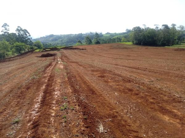 Área aonde será instalada a empresa já passa por terraplanagem (Foto: Divulgação)