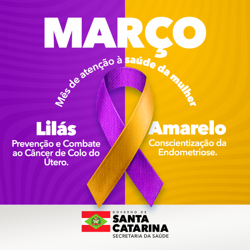 Foto: Reprodução/Secom SC