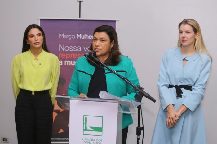 Deputadas Yandra Moura, Maria Rosas (centro) e Luisa Canziani - (Foto: Vinicius Loures/Câmara dos Deputados)