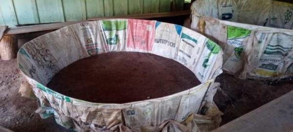 Ao todo 25 galos, utilizados na prática ilegal, estavam alojados em gaiolas pequenas, sem alimentação e água - Foto: BM divulgação