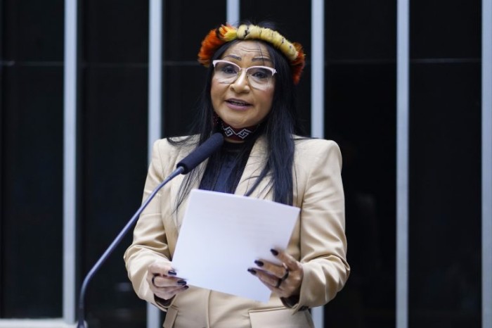 Silvia Waiãpi: “Uns querem continuar vivendo em 1.500, outros querem a modernidade” - (Foto: Pablo Valadares / Câmara dos Deputados)