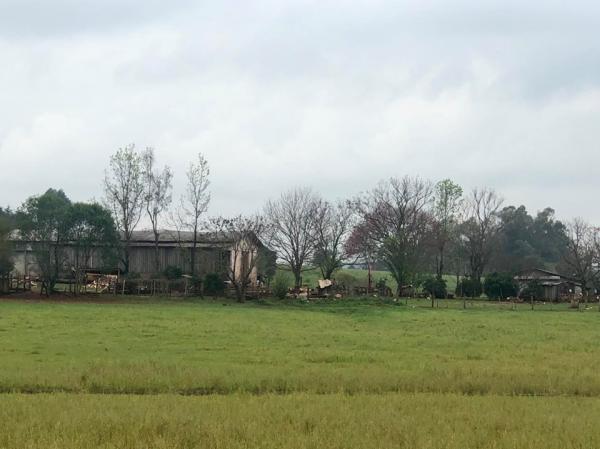 Produtor rural que entregar a DITR a partir de outubro pagará multa de 1% ao mês sobre o imposto devido ou R$ 50,00 (Foto: Diones Roberto Becker)