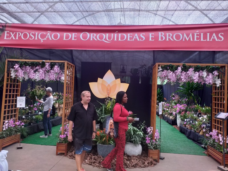 Divulgação