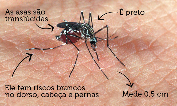 (Foto: blog.paulatostes)