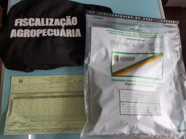 Foram confirmados 258 pacotes de sementes não solicitados em 24 estados e no Distrito Federal, incluindo o Rio Grande do Sul (Foto: Divulgação/SEAPDR)